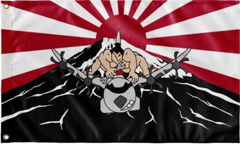 Aircraft Display Flags