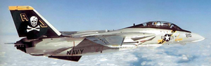 The F-14 Tomcat